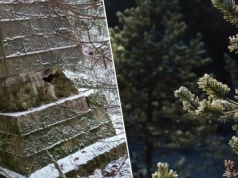 Zagadkowa budowla w polskim lesie. Unikat budzi emocje