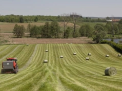 Dzierżawa gospodarstwa a VAT i podatki: na co musi uważać rolnik przed przekazaniem ziemi?