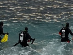 Makabryczna tragedia. Jedna osoba nie żyje po ataku rekina