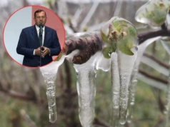 Masz kilka szkód w jednym roku? Sprawdź, co wolno łączyć