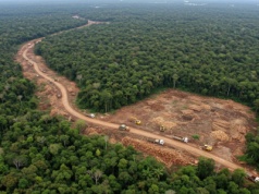 Koniec Moratorium Sojowego? Globalni giganci rezygnują z ochrony Amazonii