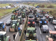 300 traktorów na drogach Katalonii. Rolnicy protestowali ws. dzików i ASF