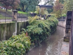 Jest szansa na dalsze porządki wzdłuż Rawy. Na razie koryto wygląda kiepsko
