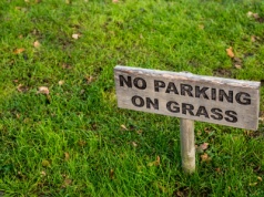 Parkowanie na trawniku zniszczyło jej życie. Kobieta musi zapłacić ponad 165 tys. dol. kar