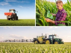 Dotacje i dopłaty 2026. ARiMR ujawniła harmonogram naborów