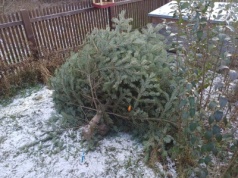 Zdewastowany Ogród Społeczny w Starym Bieżanowie. „Miarka się przebrała”. Apel do rodziców i sprawców (Galeria)