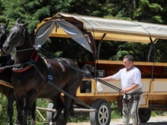 Konie zostają na całej trasie do Morskiego Oka. „Oszukano nas”