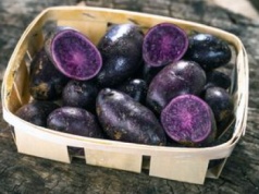 Najzdrowsza odmiana ziemniaków. Jedz, a będziesz mieć serce jak dzwon i unikniesz skoków cukru