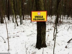 Jest podejrzany o zabójstwo. Wyszedł na święta z aresztu