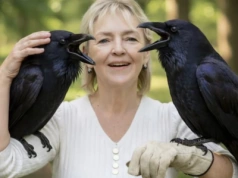 Burmistrz uderza w radną, a Ona nie pozostała mu dłużna