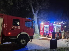 Kobieta wpadła z dzieckiem do stawu. Trwa akcja ratunkowa