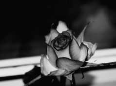 Zasiłek pogrzebowy w górę. Od 2026 roku będzie wynosił 7 tysięcy złotych