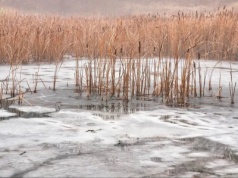 Kobieta z dzieckiem wpadli do zamarzniętego stawu