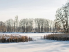Dramat w Wielkopolsce. Siedmiolatek i kobieta wpadli do zamarzniętego stawu. Ich stan jest krytyczny