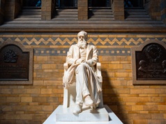 Sztuczna inteligencja też bywa głupia. Oto faworyci do Nagród Darwina dla AI