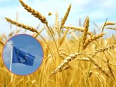 10 krajów chce do UE. Czy nasze rolnictwo to wytrzyma?