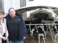 Profilaktyka na pierwszym miejscu w odchowie cieląt