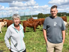 Rasowy zawrót głowy. Tak wygląda wyjątkowe stado bydła mięsnego w Polsce