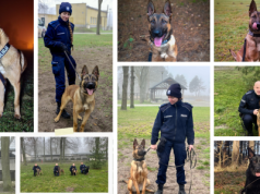 Policja zachodniopomorska ma nowych psich funkcjonariuszy