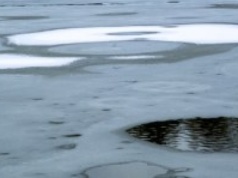 Na stawie załamał się lód. Nowe fakty ws. rodzinnej tragedii pod Poznaniem