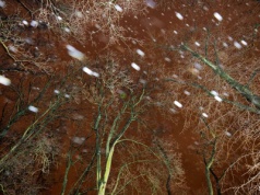 Pogoda na koniec roku zmienna i wietrzna