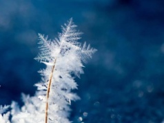 Nowy Rok przywita nas atakiem zimy. Temperatura spadnie nawet do -17 st. C