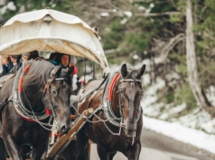 Nie będzie rewolucji na trasie do Morskiego Oka? Transport konny pojedzie dłuższą trasą