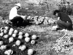 Jest pierwsza zgoda Ukrainy dla IPN na ekshumacje ofiar zbrodni wołyńskiej