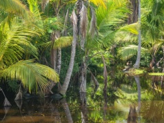 Skamieniałości wewnątrz skamieniałości. W odległej jaskini doszło do odkrycia, jakiego świat jeszcze nie widział