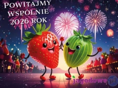 Szczęśliwego, udanego roku 2026!