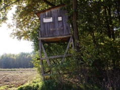 W trakcie polowania zastrzelił stojącego przed domem 60-latka. Już jest na wolności