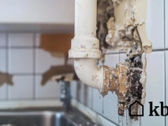 Wystarczy jedna noc, a całe mieszkanie jest zniszczone. Problem narasta powoli i niezauważalnie