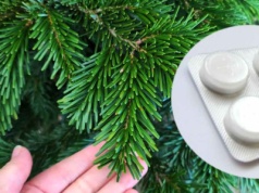 Zasil ciętą choinkę jedną tabletką. Utrzyma igły do lutego