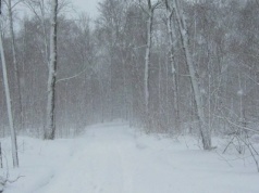 Zamiecie śnieżne, silny wiatr, marznący deszcz. IMGW ostrzega przed pogodą w Nowy Rok