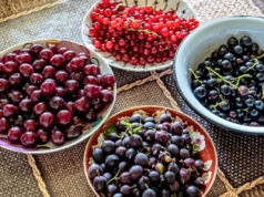 Polacy wolą truskawki i maliny, a o tym owocu zapominają. Wzmacniacz, który zbija "zły" cholesterol