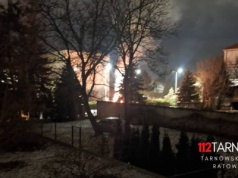 Pożary tui i koszy na śmieci – sylwestrowe skutki fajerwerków