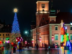 Pożar choinki na placu Zamkowym. To wina fajerwerków