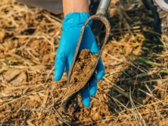 Bez tego możesz stracić dopłaty. Sprawdź, co musisz mieć do ekoschematów