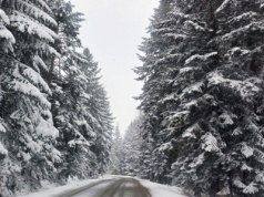 Zimowy początek roku. Śnieg i wiatr mają dać o sobie znać