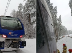 Pociąg uderzył w drzewo zwisające nad torami. Jest komunikat PKP