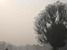 Apatia i depresja u dziesiątek milionów osób. Wdychamy je z powietrzem