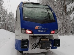 Drzewo zerwało sieć trakcyjną. Pociąg 