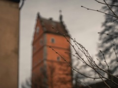 Oświetlone mury, ciche uliczki i średniowieczny rytm. Najlepszy city break w okolicy