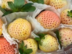 W Polsce wciąż mało znany owoc. Gdy zobaczysz, to kup i spróbuj, bo nieźle cię zaskoczy