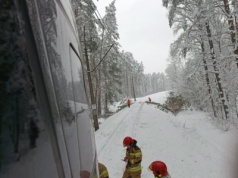 Pociąg Intercity "Kormoran" uderzył w zwisające drzewo. Ruch kolejowy na trasie Olsztyn-Działdowo całkowicie wstrzymany
