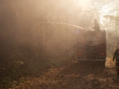 Pożar domku letniskowego przy ul. Dzieci Zamojszczyzny w Siedlcach