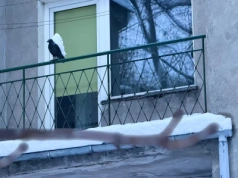 Śnieg na balkonie to bomba z opóźnionym zapłonem. Mało kto wie, prawo mówi wprost