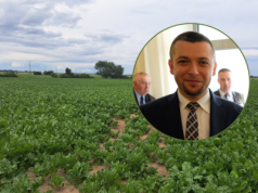 Cukrownie tną kontrakty, cukier zalega. Plantatorzy buraków w potrzasku