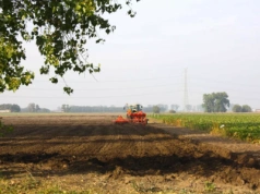 Rolnik ukarany za poprawienie gleby. „Kukurydza urosła. A ja dostałem mandat”