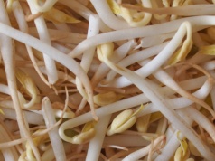 Wystarczy odrobina do kanapki. Wymiatają wolne rodniki, wspomagają serce